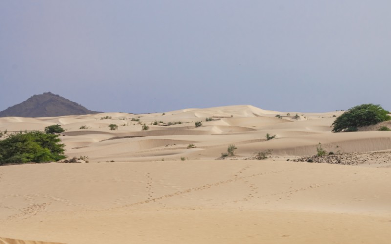 Dune - Boa Vista