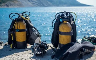 Immersioni a Capo Verde: i posti migliori, la fauna sottomarina e i consigli
